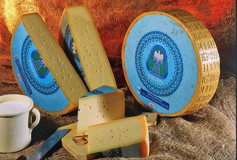 PDO Monte Veronese Cheese 